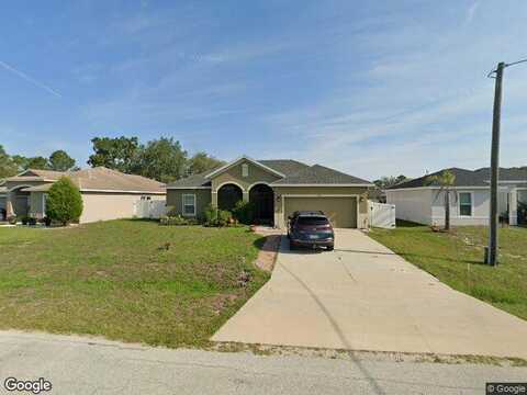 Hibiscus, KISSIMMEE, FL 34759