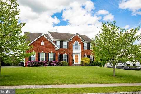Sassafras, QUAKERTOWN, PA 18951