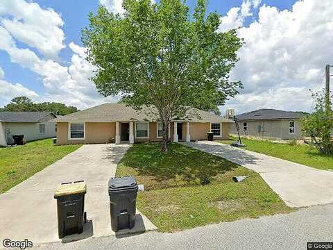 Squirrel, KISSIMMEE, FL 34759