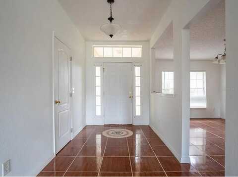 Minnow, KISSIMMEE, FL 34759