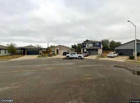 Filifera, LEANDER, TX 78641