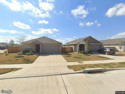 Ponderosa Pine, ROSHARON, TX 77583