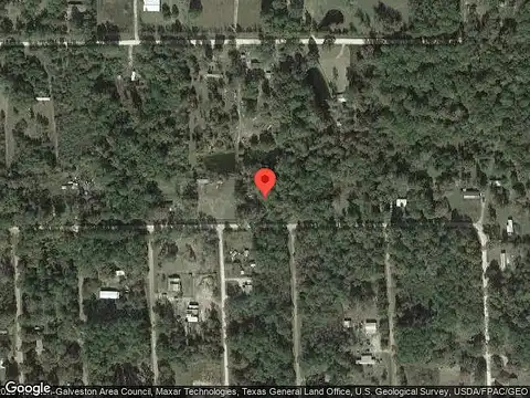 Scarlett, SHEPHERD, TX 77371