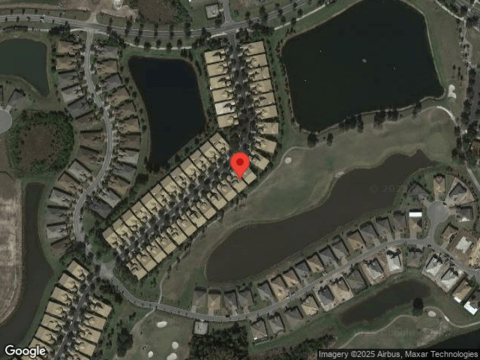 Palm Tree, KISSIMMEE, FL 34759