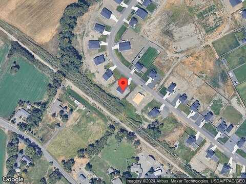 Dapple Gray, ELLENSBURG, WA 98926