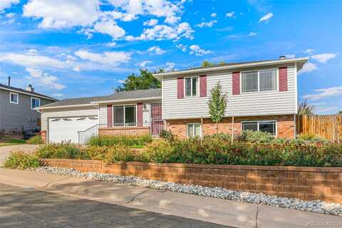 Braun, MORRISON, CO 80465