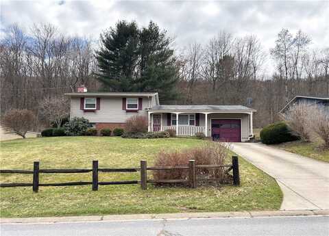Constitution, BRADFORD, PA 16701