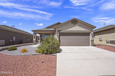 Mesquite Thorn, EL PASO, TX 79934