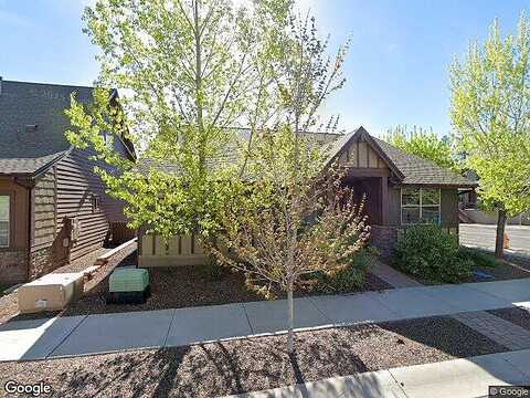 Camel, FLAGSTAFF, AZ 86001