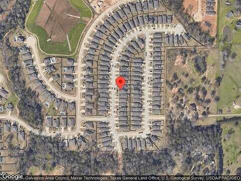 Hickory Pecan, TOMBALL, TX 77375