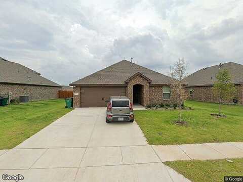 Whitetail, CADDO MILLS, TX 75135