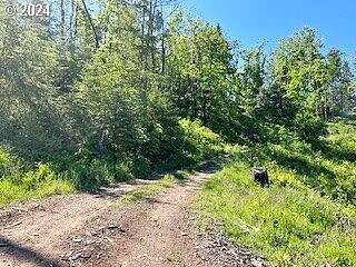 Snowden, WHITE SALMON, WA 98672
