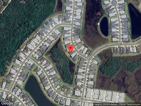 Blue Starfish, DAYTONA BEACH, FL 32124