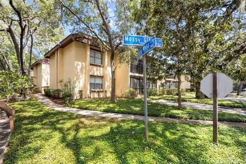 Mossy Glen, TAMPA, FL 33613