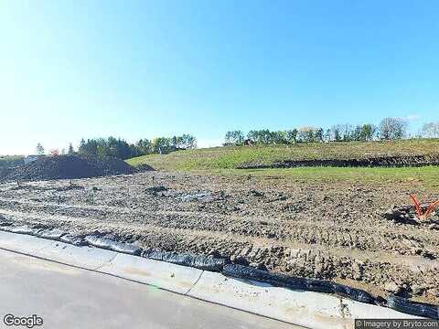 Larkspur, HAMEL, MN 55340