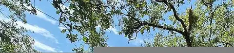Sioux, VALLEY VIEW, TX 76272