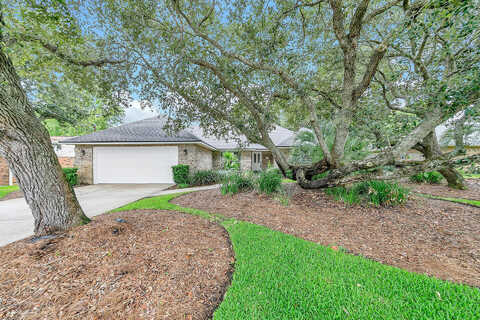 Spanish Moss, DESTIN, FL 32541