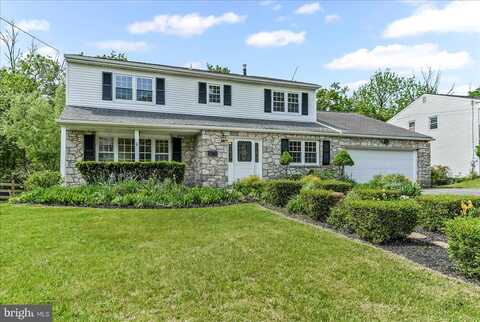 David, ABINGTON, PA 19001