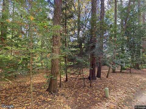 Driftwood, GIG HARBOR, WA 98332