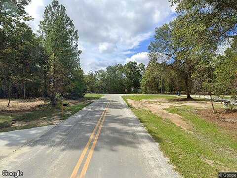 Hummingbird, JESUP, GA 31545