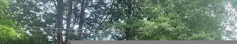Kolstad, PALESTINE, TX 75801