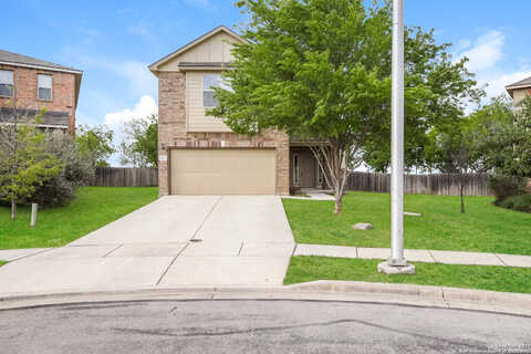 Sweet Bay, NEW BRAUNFELS, TX 78130