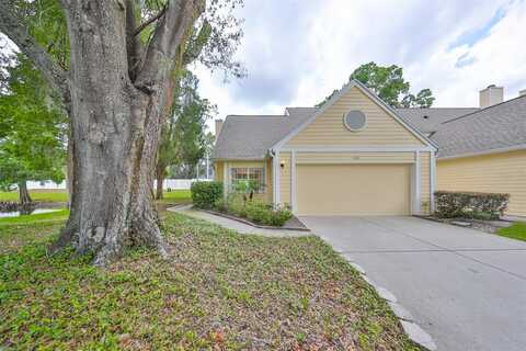 Big Pine, VALRICO, FL 33596
