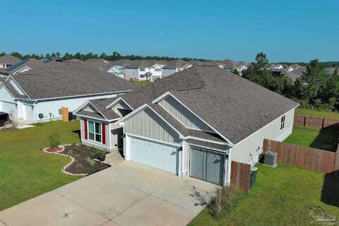 Blacktail, PENSACOLA, FL 32526