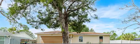 Wildmer, PALM BAY, FL 32908