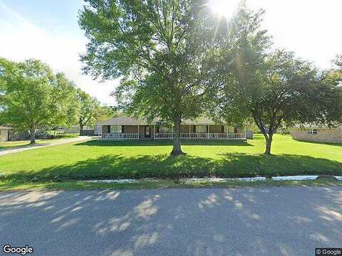 Blueberry, BRIDGE CITY, TX 77611