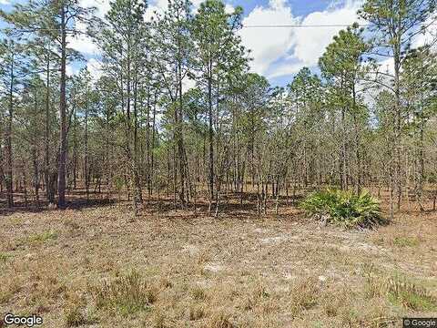 128Th, DUNNELLON, FL 34432
