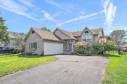Oak, FARMINGTON, MN 55024