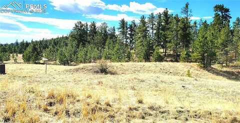 Elk, GUFFEY, CO 80820