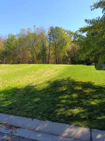 Carver Creek, CARVER, MN 55315