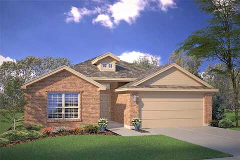 Catclaw, CROWLEY, TX 76036