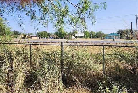 Bentsen Palm, PALMVIEW, TX 78572