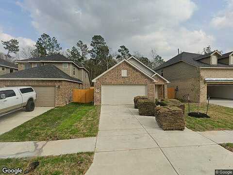 Grey Fox, MAGNOLIA, TX 77354