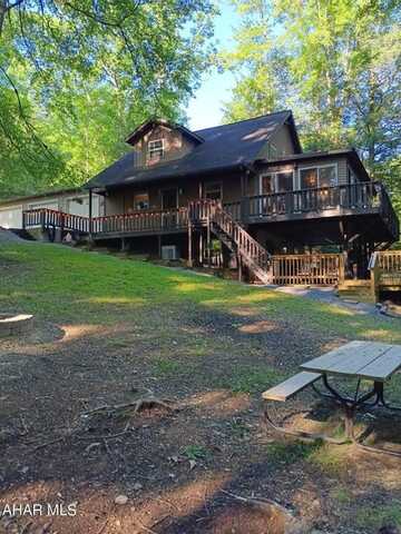 Hoot Owl, FLINTON, PA 16640