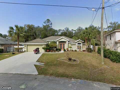 Zephyr Lily, PALM COAST, FL 32164
