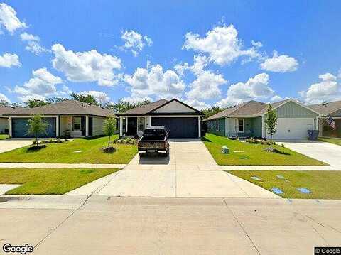 Vitex, ROYSE CITY, TX 75189