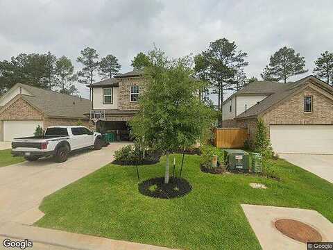 Honey Mesquite, WILLIS, TX 77318