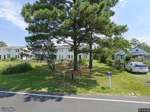 Bunting, CHINCOTEAGUE ISLAND, VA 23336