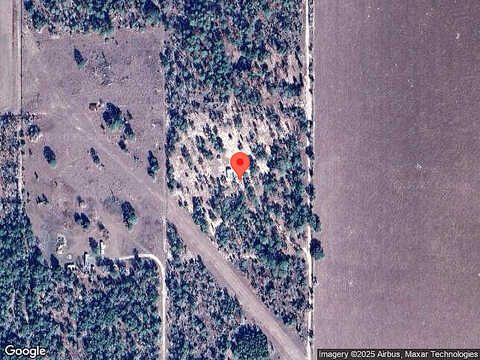 Ne 130Th Avenue, WILLISTON, FL 32696