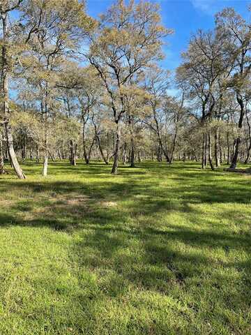 Tierra Grande, NEEDVILLE, TX 77461