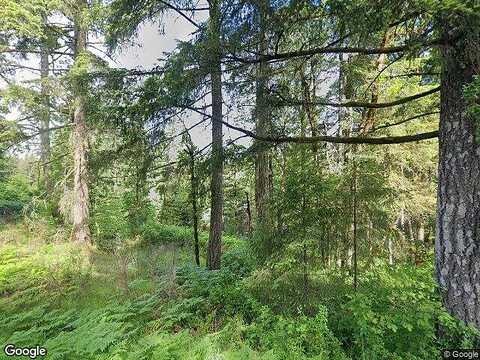 Butler Rd, JunctionCity, OR 97448