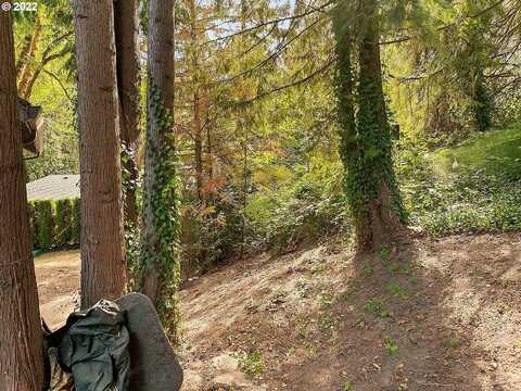 Hide A Way Ct, Lake Oswego, OR 97034