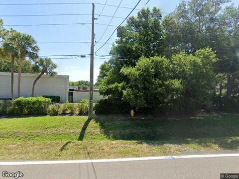 Pine Cone, CLEARWATER, FL 33760