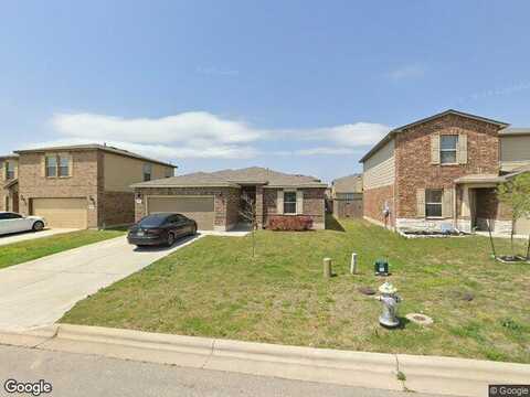 Daffodil, TEMPLE, TX 76502