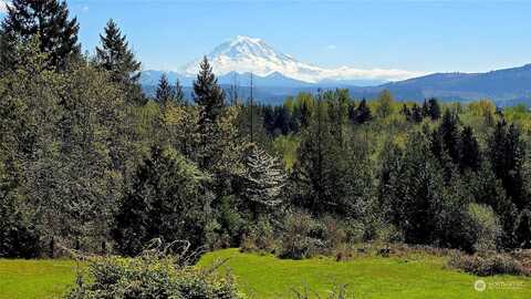 Orting Road N, Bonney Lake, WA 98391