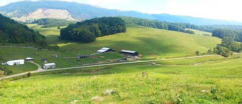 Laurel Bed, TAZEWELL, VA 24651